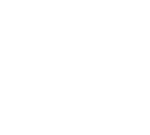 DigiTally-logo